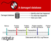 SQL Log Rescue授權(quán)購(gòu)買